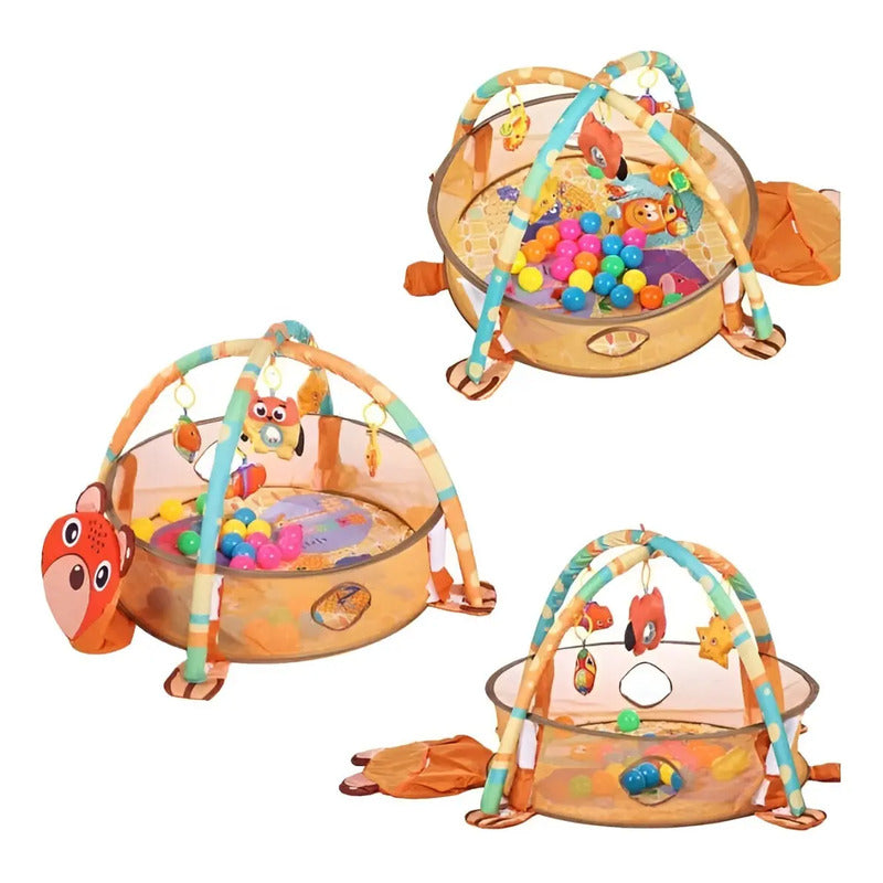 Gimnasio Piscina Pelotas Bebé Infantil Estimulación Oso