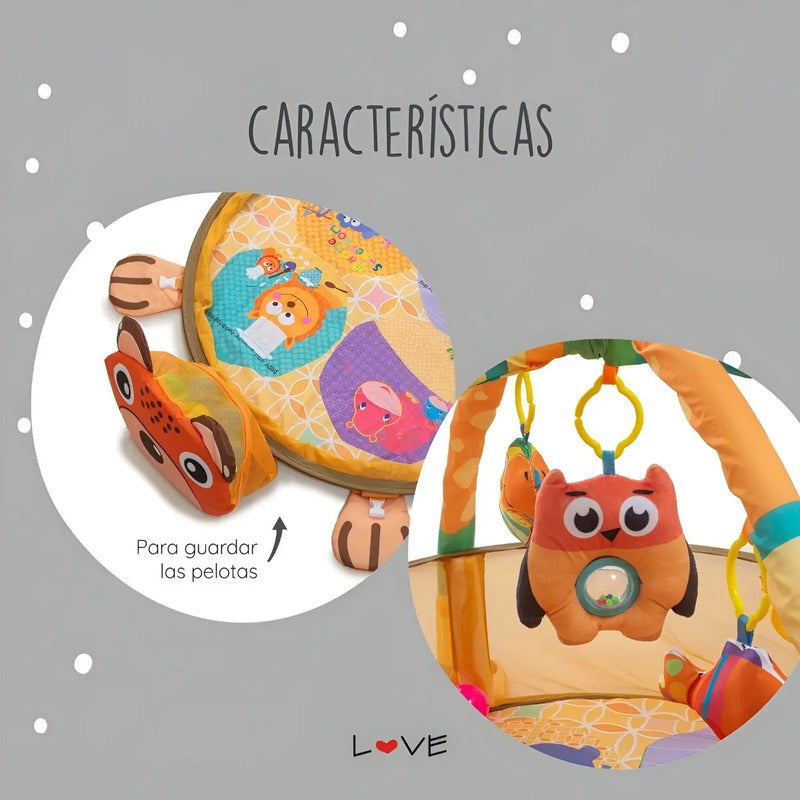 Gimnasio Piscina Pelotas Bebé Infantil Estimulación Oso
