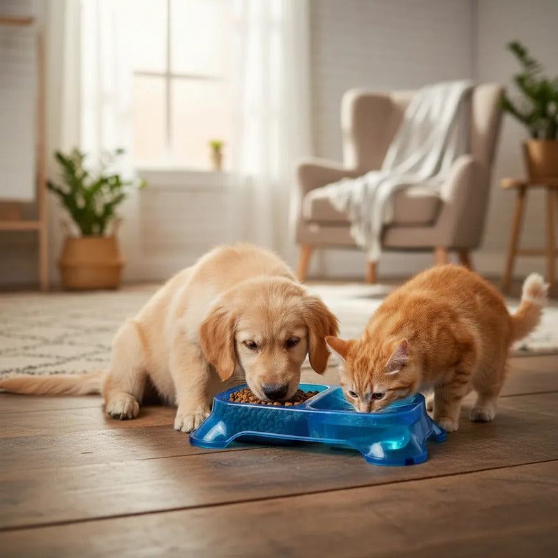 Comedero Para Perros Patitas Doble Pl2-az