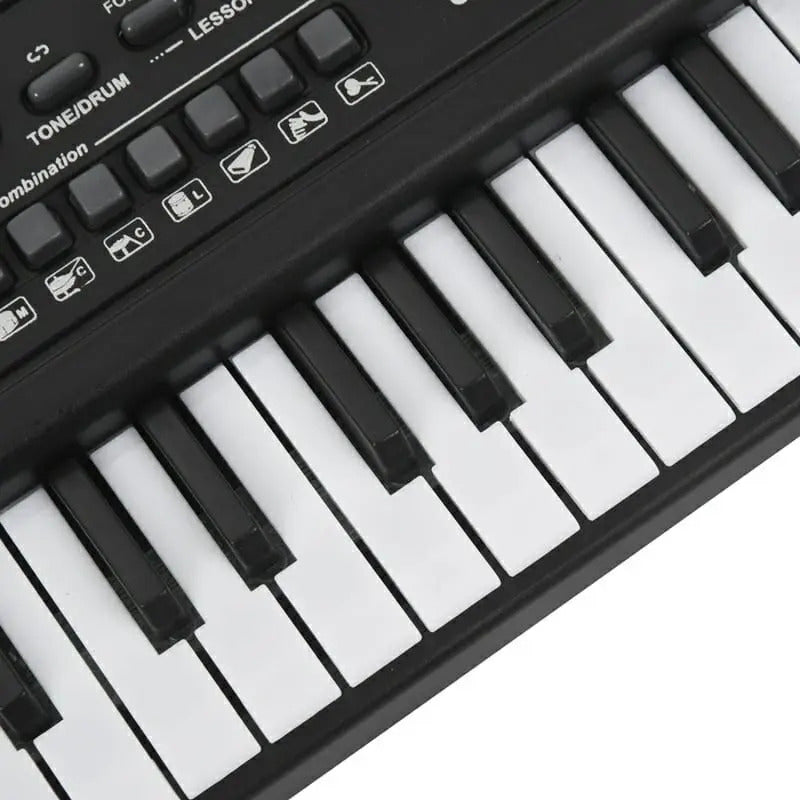 Teclado Organeta Piano Electrónico 61 Teclas Micrófono Usb 110v Negro