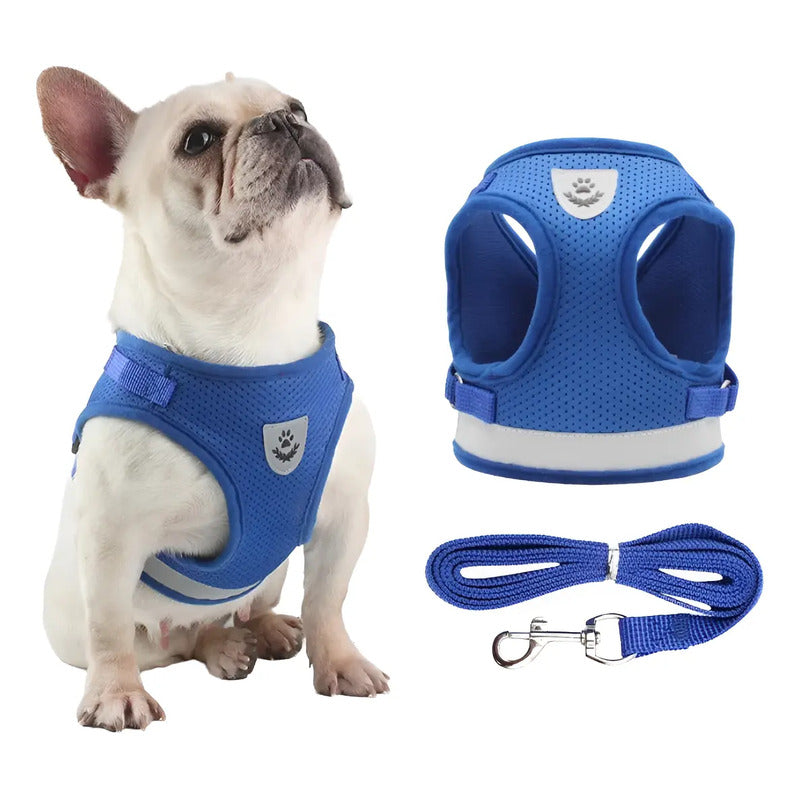 Arnés Pechera Correa Collar Ajustable Para Perros Y Gatos