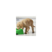 Plato Para Mascotas Sencillo Genérica 0v Verde