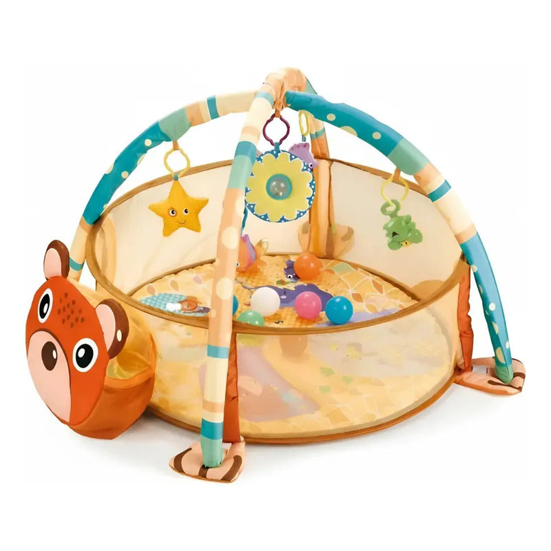 Gimnasio Piscina Pelotas Bebé Infantil Estimulación Oso