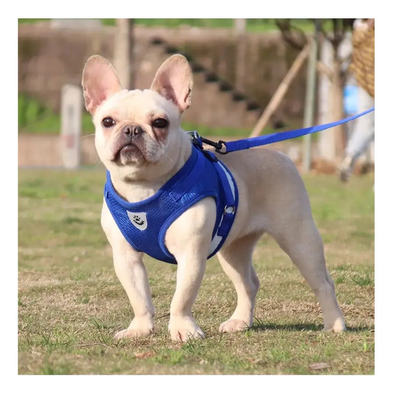 Arnés Pechera Correa Collar Ajustable Para Perros Y Gatos