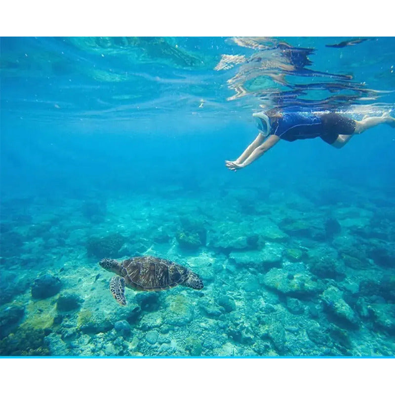 S/m Snorkel Natación Facial Máscara Antivaho Buceo Superfi